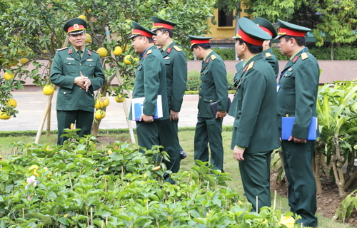 bql hoan thanh tu bo 2017 5