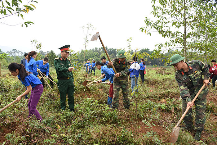 bo tu lenh ra quan tinh nguyen 5