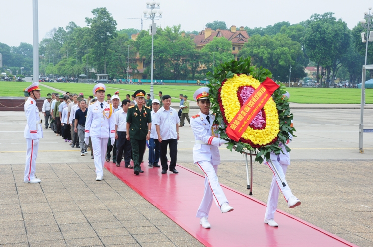 ncc dong hoa thai binh