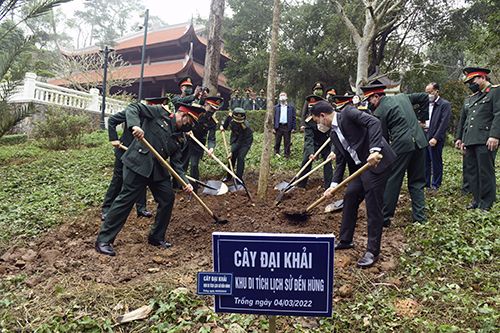 to chuc quan chung trong cay 4