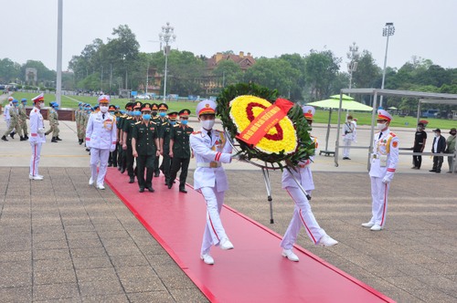 cuc gin giu hoa binh 2