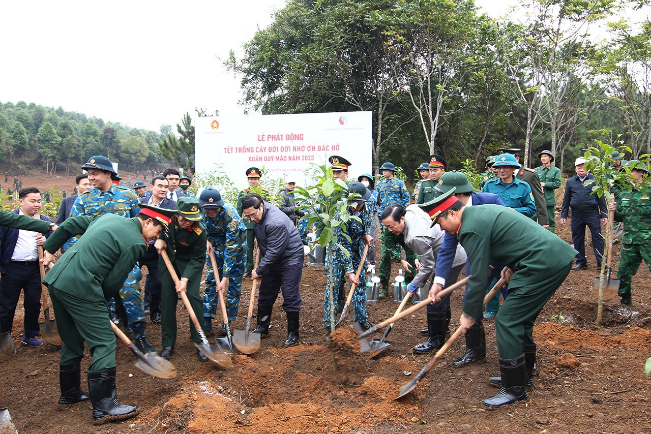 tet trong cay 2023 5