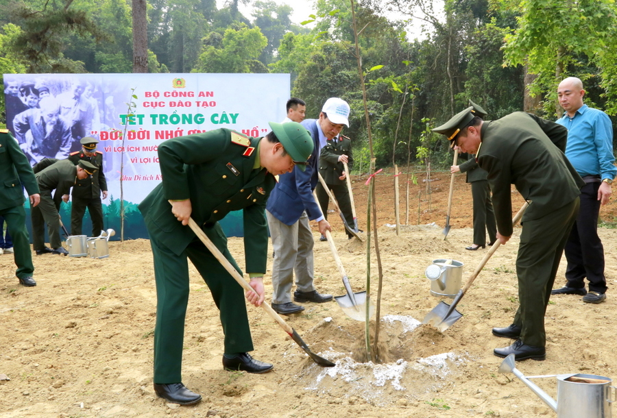 cuc dao tao trong cay 1