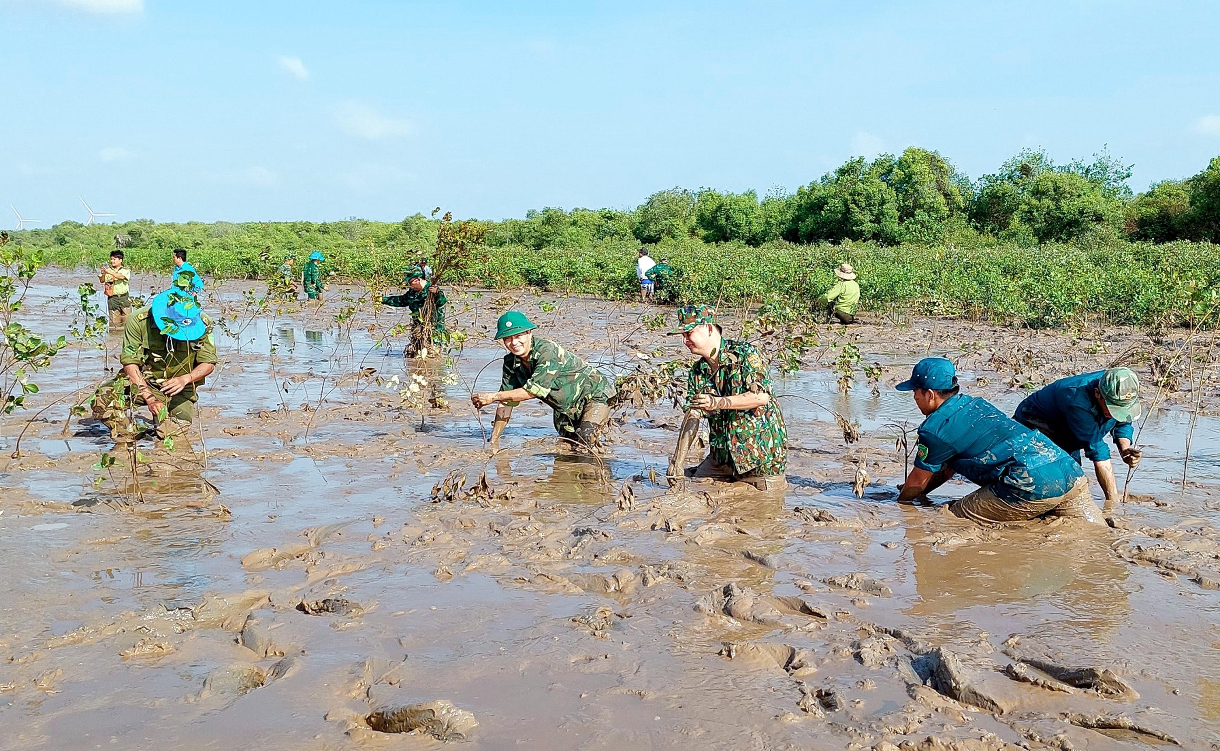 van hoa chinh tri 3