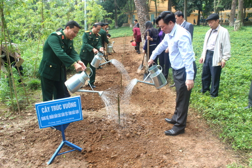 bac-kan-trong-cay-k9-2016-4