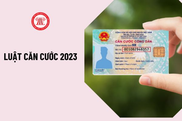 luat can cuoc 2023