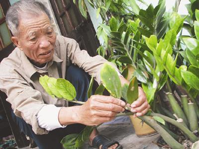 nguoi duoc Bac Ho cu sang Trung Quoc hoc 2