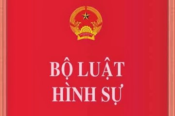 bo luat hinh su