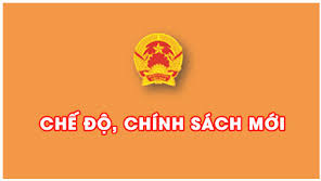 chinh-sach-moi