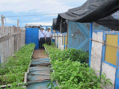 to-quoc-nhin-tu-bien-a